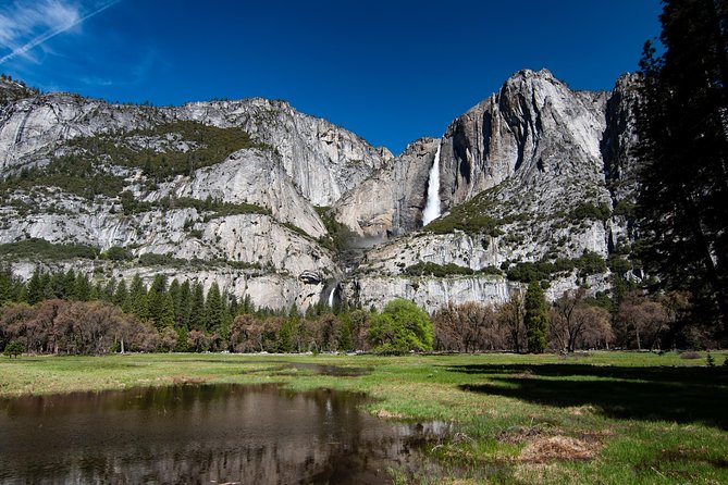 2-Day Yosemite National Park Tour From San Francisco - Traveler Experience