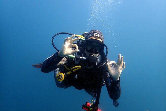 2 Dives Trip - Additional Costs