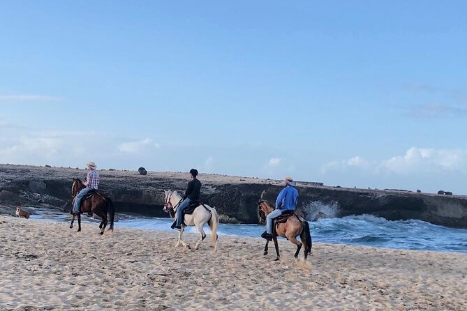2-Hour Horseback Riding Tour to Little Natural Bridge in Aruba - Booking Information