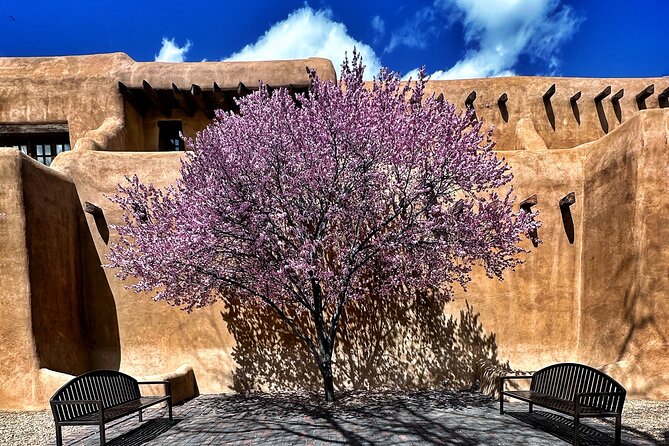 2-Hour Photography Class While Touring Downtown Santa Fe, Smart Phones Welcome! - Considerations for Participants
