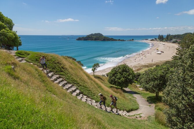 2-Hour Tauranga & Mount Maunganui City & Scenic Local Tour - Operator Information