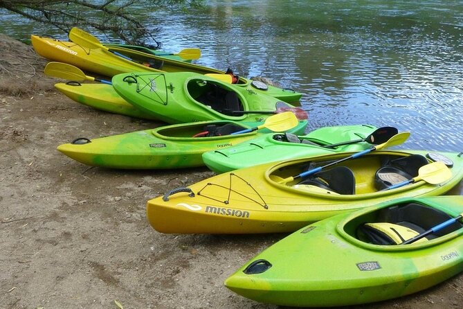 2-Hour Waikato River Guided Kayak Trip From Taupo - Guest Reviews and Feedback