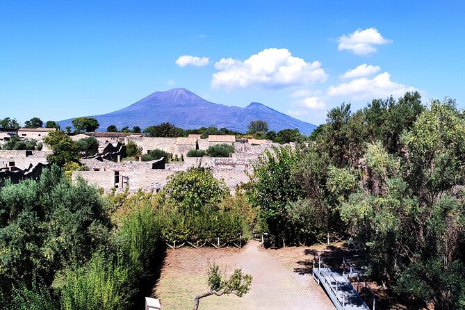 2 Hours Private Tour in Pompeii With Archaeologist - Booking Process
