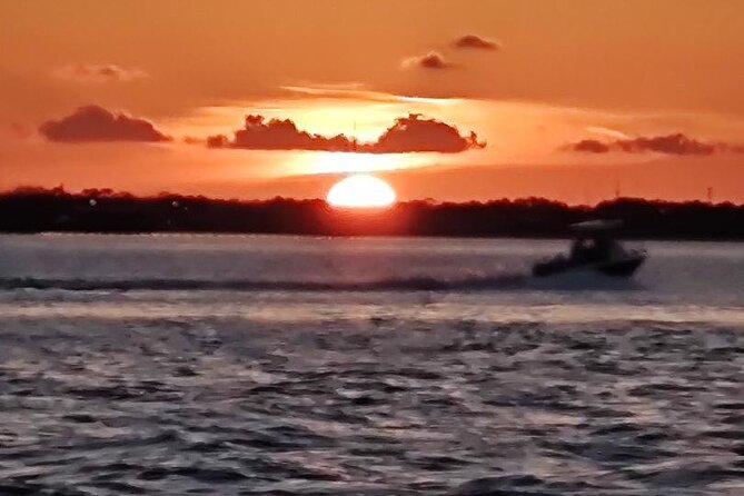 2 Hours Swim With the Dolphins in Panama City - Tips for a Great Experience