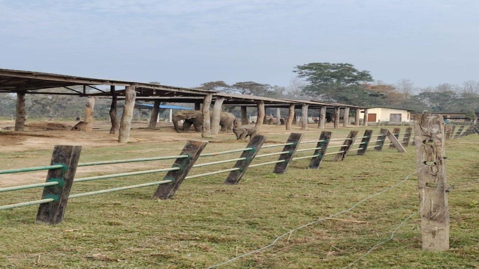 2 Nights 3 Days Chitwan Jungle Safari Tour - Included Experiences