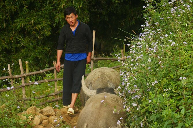 2D1N Buffalo Trek by Hmong Sister House and Trekking - Weather Considerations