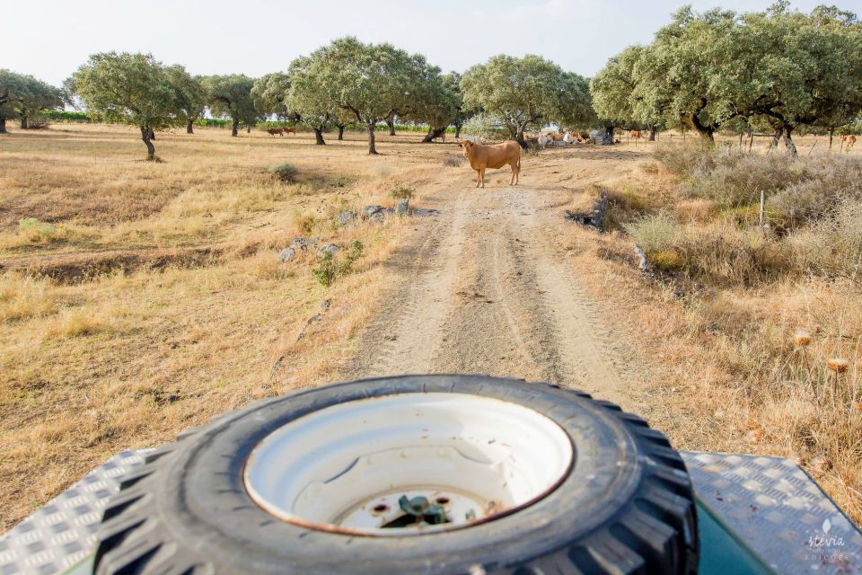 2hr Cork Safari in a Classical Land Rover - Tour Duration and Inclusions