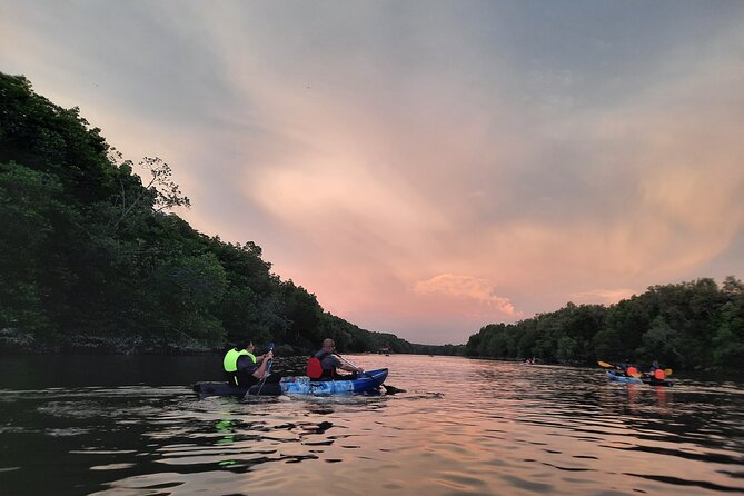 3-4 Hours Mangrove Kayaking Tour - Customer Reviews