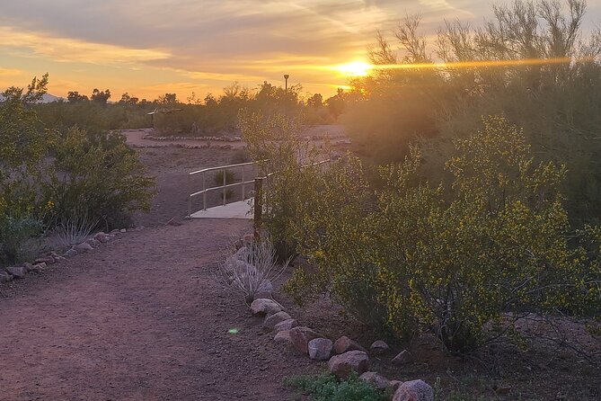 3 Cities & Nature Tour. Shop, Art, History, Food. Scottsdale, Phoenix, & Tempe. - Guest Experiences and Reviews
