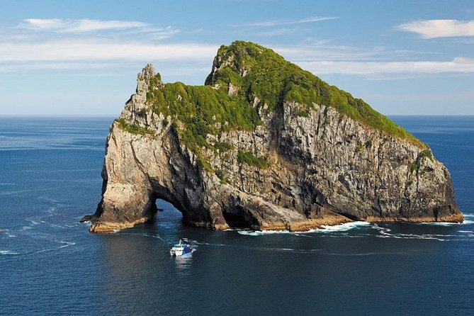 3-Day Bay of Islands Tour From Auckland - Traveler Experiences