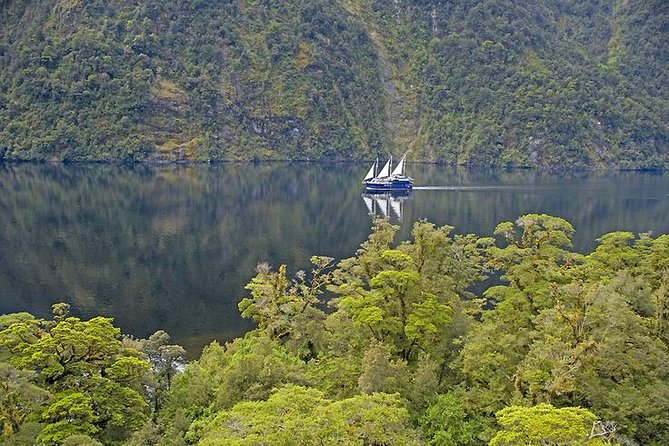 3 Day Doubtful Sound Overnight Cruise and Glowworm Tour From Queenstown - Guest Reviews