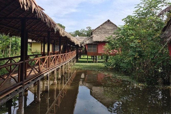 3 Day Iquitos Amazon Jungle Adventure at Heliconia Lodge - Tips for Your Journey