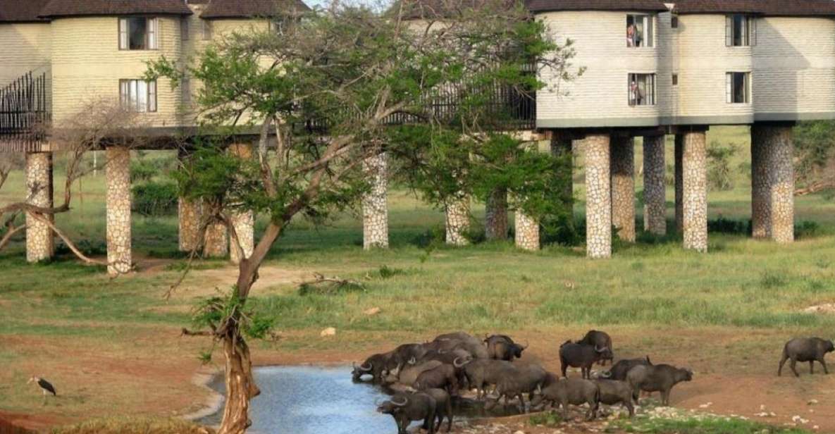 3 Days Safari to Saltlick Lodge From Nairobi - Inclusions and Exclusions