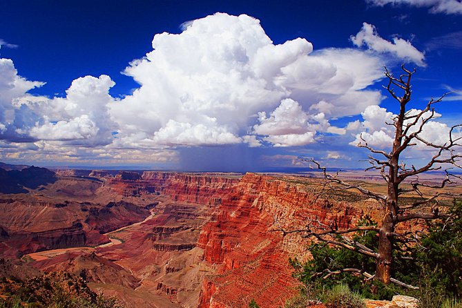 3 Hour Back-Road Safari to Grand Canyon With Entrance Gate By-Pass at 9:30 Am - Booking Information