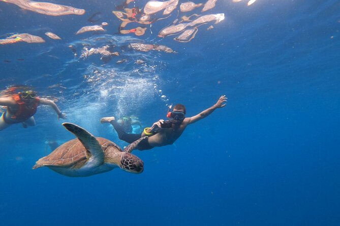 3 Hour Kayak and Snorkeling Experience in Tenerife - What to Expect
