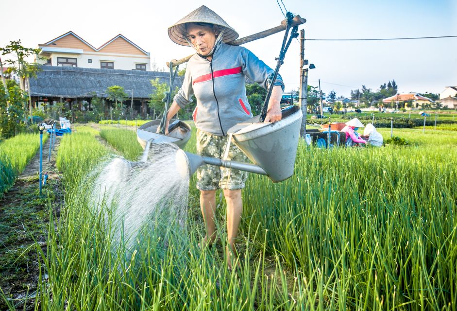 3-Hour Sunrise or Sunset Photography Tour in Hoi An - Customer Reviews
