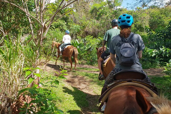 3 Hours Horseback Riding From Nature Trails to Sofa Stone - Tips for Enjoying Your Ride
