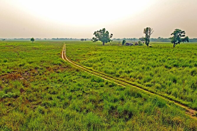3 Nights 4 Days Chitwan National Park With Tower Night Stay - Tips for Travelers