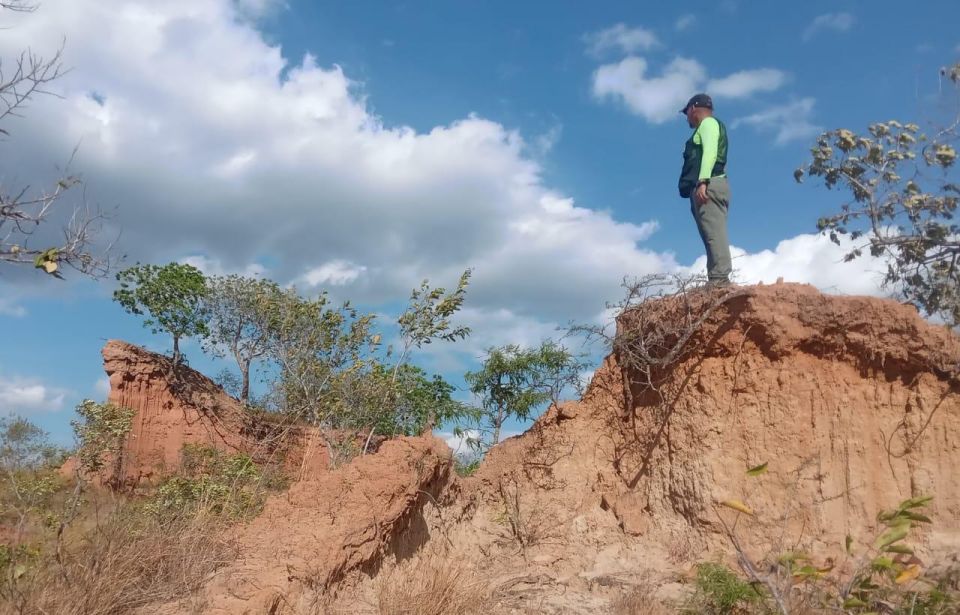 4- Hour Hiking Tour in Two Different Tropical Worlds - Customer Feedback