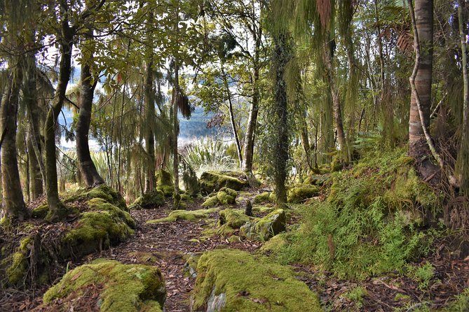 4-Hour Lake Mapourika Kayak and Hike Adventure, With Okarito Kiwi Sanctuary - Preparing for Your Adventure