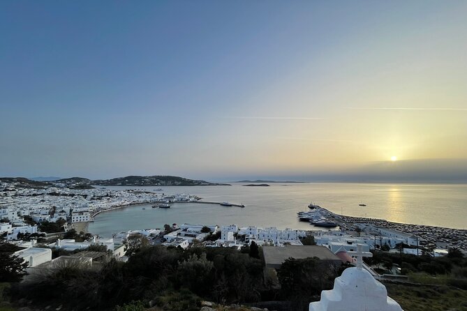 4 Hour Private Island Tour in Mykonos - Mykonos in a Day - Why Choose a Private Tour