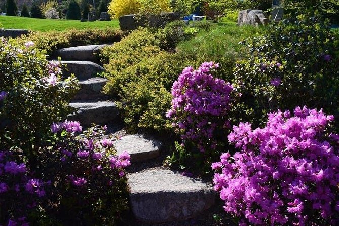 4 Hour Private Tour: Explore Acadia Natl Park, Fjord & Mansions - Contact and Assistance Information