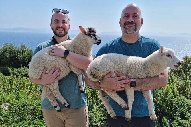 4 Hour Slea Head Drive Tour - Personal Chauffeur Guided Tour - Traveler Experiences