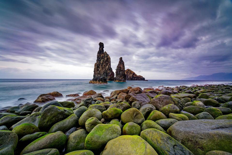 4x4 Jeep Tour to the West & Northwest of Madeira - Fanal Forest Walk