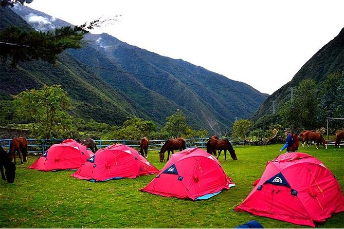 5-Day All-Inclusive Salkantay Trek To Machu Picchu - Trekking Experience and Interactions