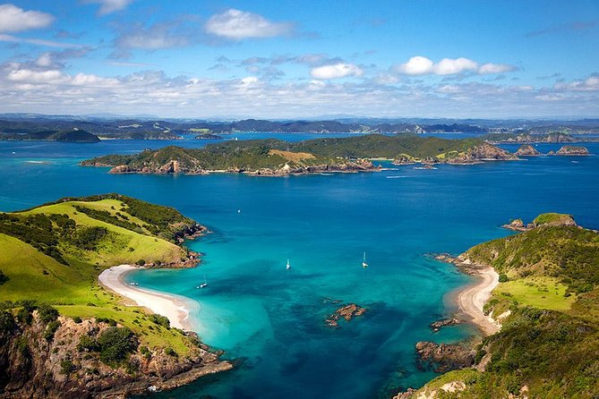 5-Day Bay of Islands Rotorua Waitomo Caves and Hobbiton Tour From Auckland - Day 4: Hobbiton Experience