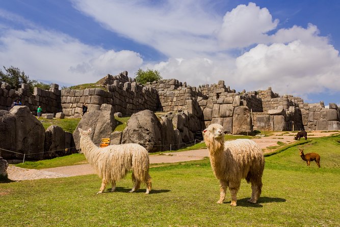 6 Day Best of Peru: Cusco, Machu Picchu and Lake Titicaca Tour - Booking Information and Contact