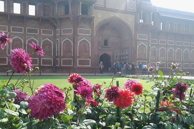 6 Days Golden Triangle Tour(Delhi Agra Jaipur Delhi Tour) - Customer Reviews