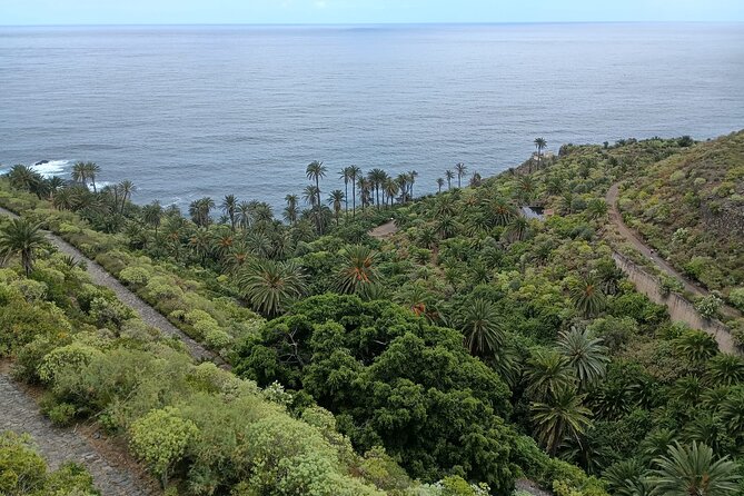 6hrs Private Tour in North Coast of Tenerife - Pricing and Cancellation