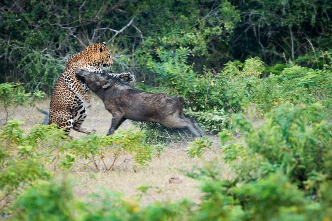 8 Days Classic Tour Sri Lanka - Cancellation Policy