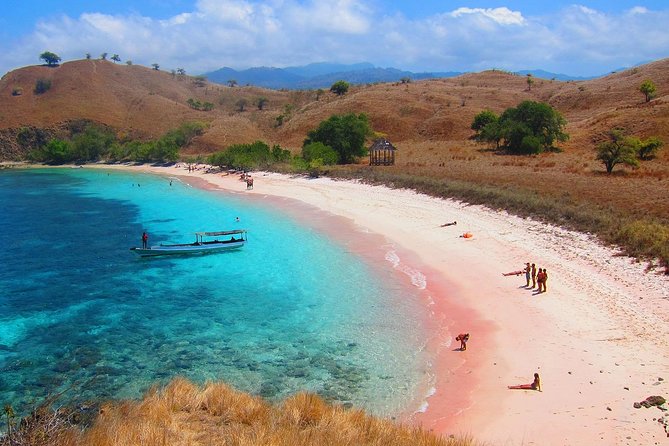 A Day to Komodo Island - Highlights of Komodo National Park