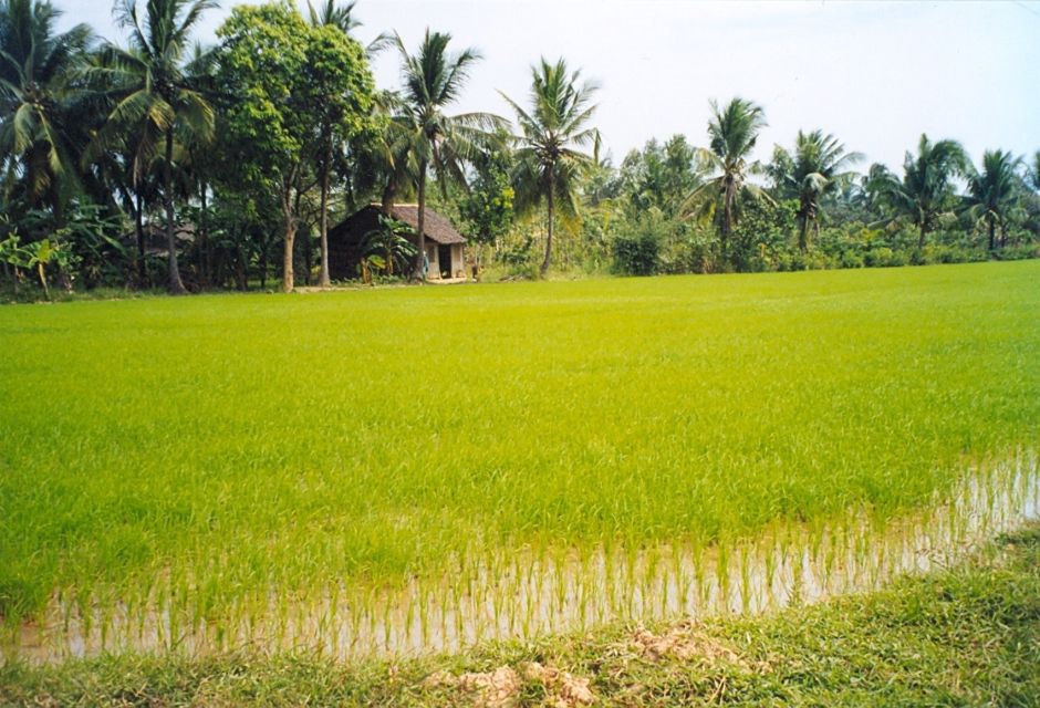 A Day Tour to Cu Chi Tunnels and Mekong Delta - Inclusions and Amenities