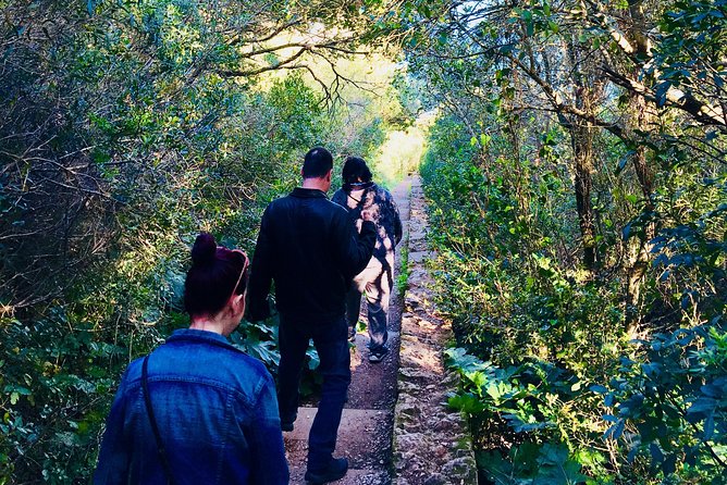 A PRIVATE Afternoon South of Lisbon, Mountain WINES and SECRET Places! - Guest Experiences and Reviews