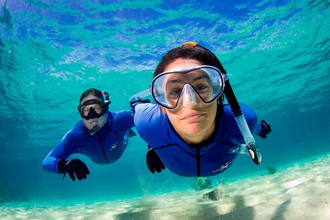 ABC Snorkel Charters Port Douglas Snorkelling Max 12 Passengers - Snorkeling Highlights