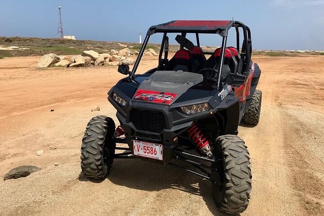 Action-Packed Half Day Aruba UTV Tour and Cave Pool - Ideal Participants for the Tour