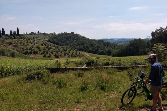 Active Full Day Tuscan Bike Tour - Traveler Experiences