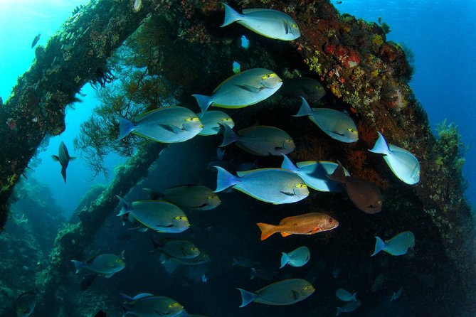 Advanced Open Water Course - Advanced Certification in Tulamben - Depth Limits