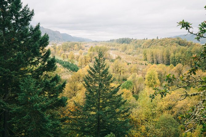 Afternoon Half-Day Multnomah Falls and Columbia River Gorge Waterfalls Tour From Portland - Accessibility Information