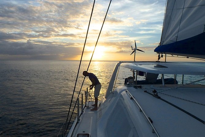 Afternoon Luxury Catamaran Sailing and Charter Cruise From Bridgetown - Preparing for the Cruise