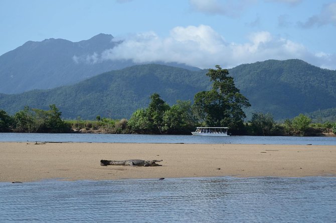 Afternoon Tour Mossman Gorge & Daintree River From Port Douglas - Traveler Feedback and Reviews