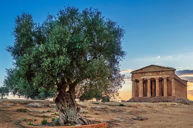 Agrigento; Valley of the Temples, Scala Dei Turchi From Palermo, Private Tour - Recommendations for a Great Tour