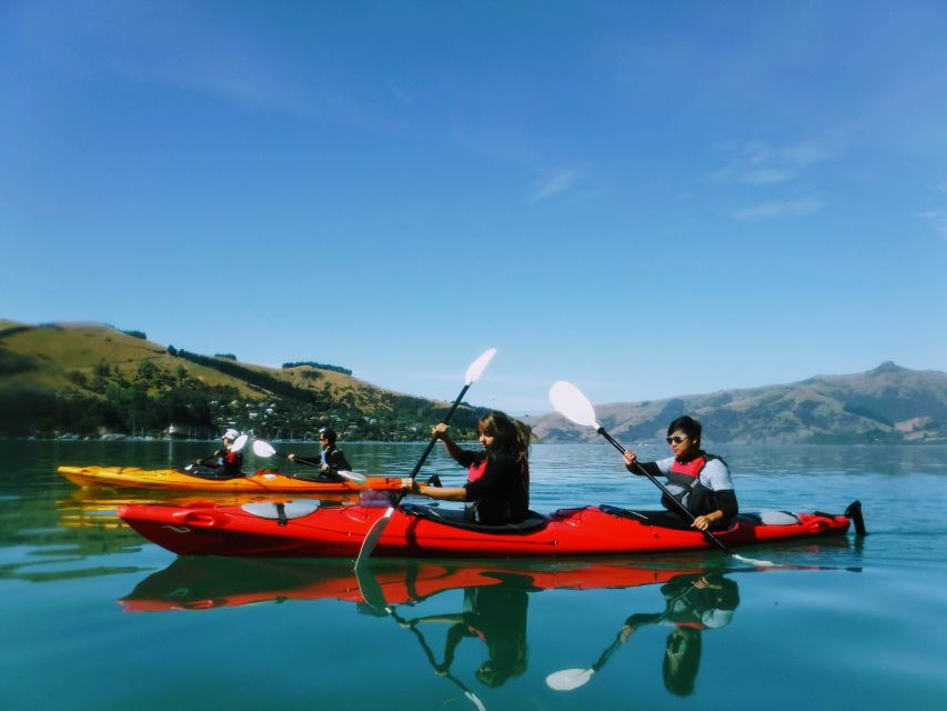 Akaroa: Guided Sea Kayaking Safari at Sunrise - What to Bring