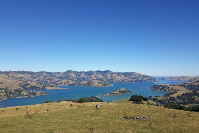 Akaroa Shore Excursion: Banks Peninsula, Christchurch City Tour and Sheep Farm Tour - Customer Reviews