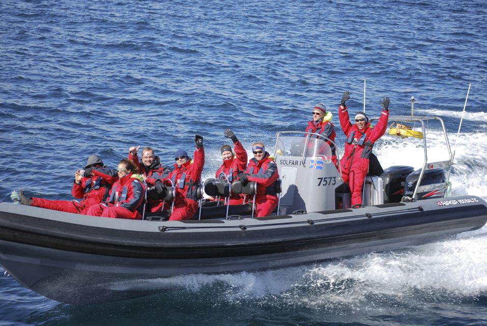 Akureyri: 2–Hour Whale Watching Express by RIB Speedboat - Best Time to Go