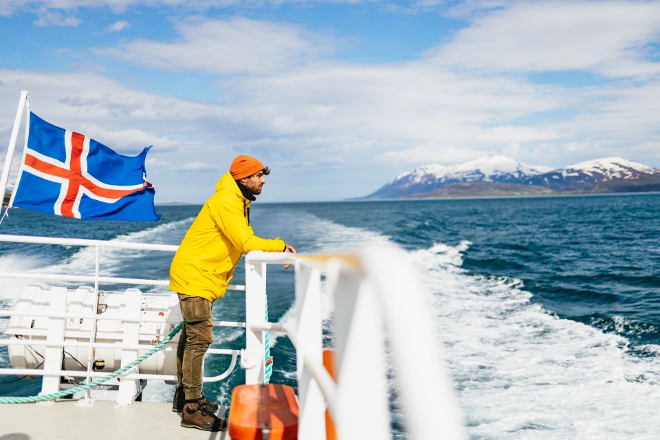 Akureyri: 3-Hour Classic Whale Watching Tour - What to Expect