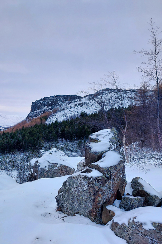 Akureyri: Snowshoeing With the Traveling Viking - Safety and Preparation Tips